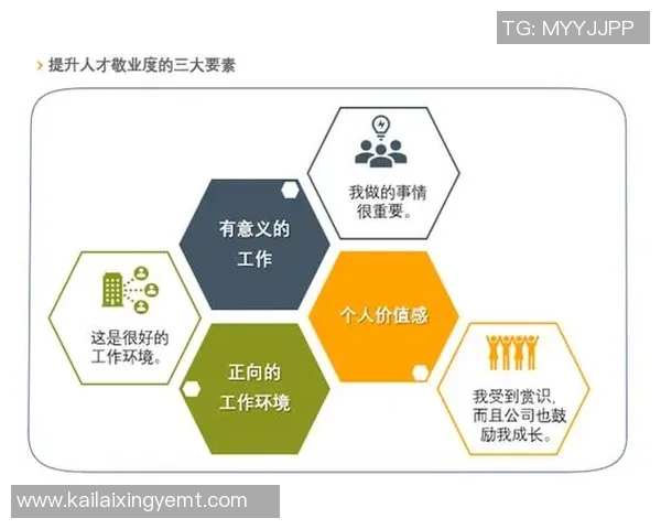 深圳足球队团队协作的成功秘诀与未来发展展望分析